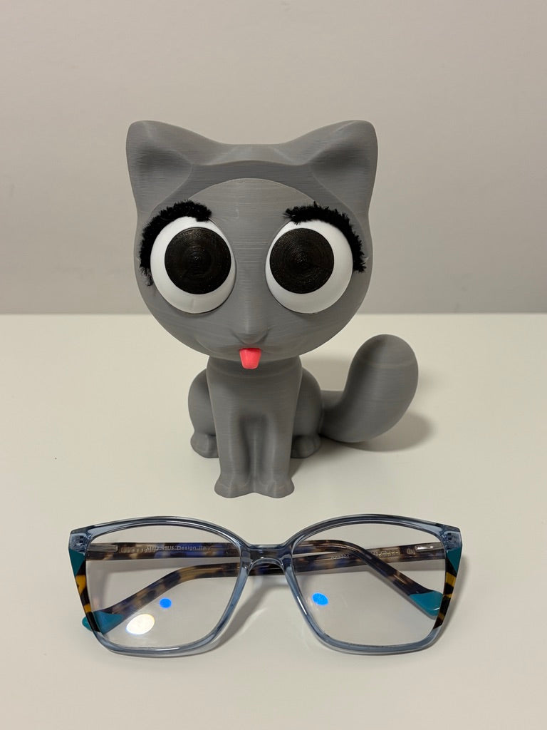 Posa lentes gato