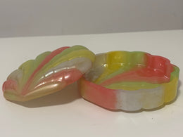 Alhajero concha