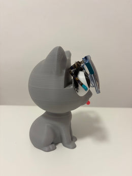 Posa lentes gato