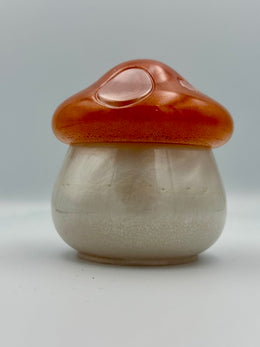 Alajero hongo