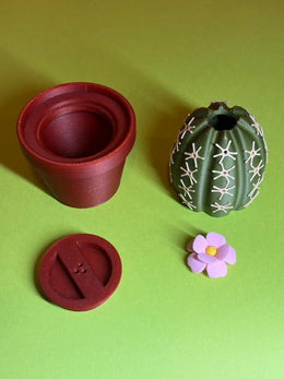Cactus salero